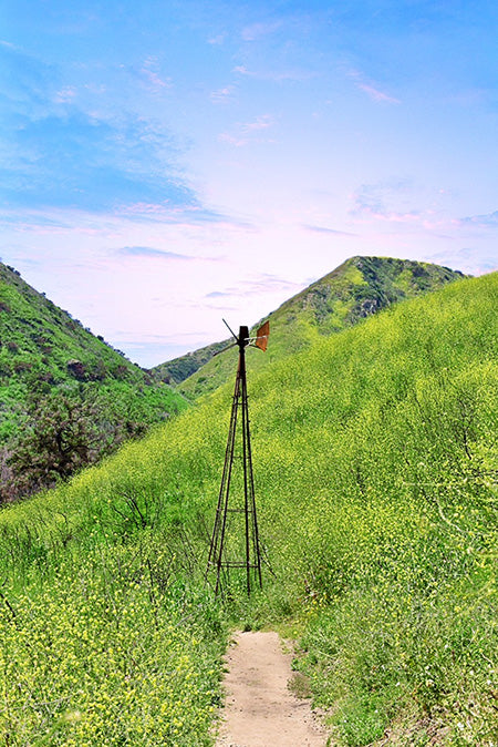 Best Nature in Los Angeles