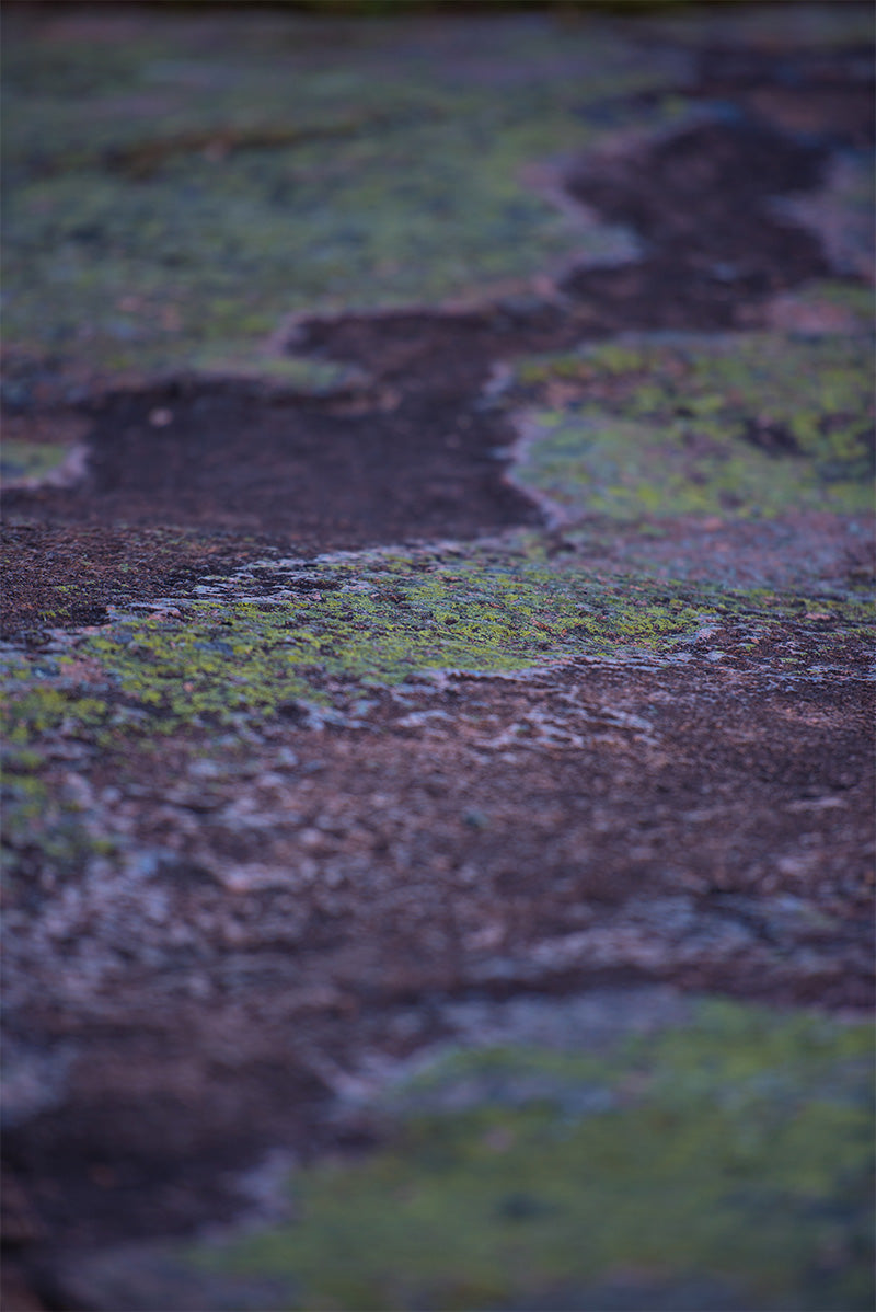 Acadia-National-Park-Photograph